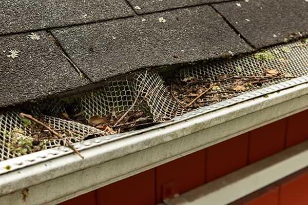 Tennessee clogged gutters